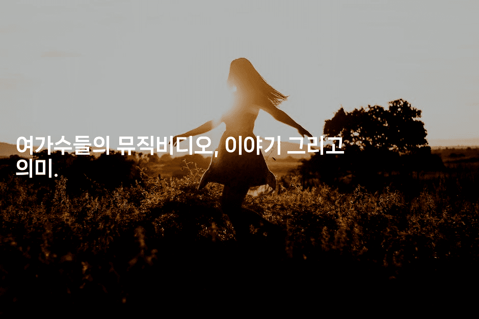 여가수들의 뮤직비디오, 이야기 그리고 의미.