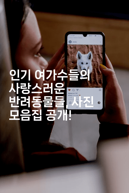 인기 여가수들의 사랑스러운 반려동물들, 사진 모음집 공개!
-별빛소리