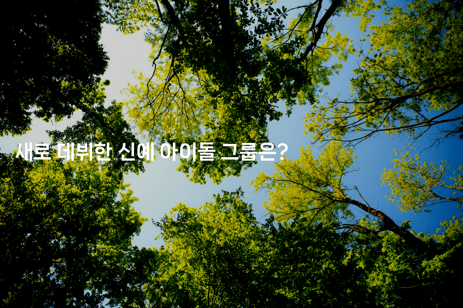 새로 데뷔한 신예 아이돌 그룹은?
-별빛소리