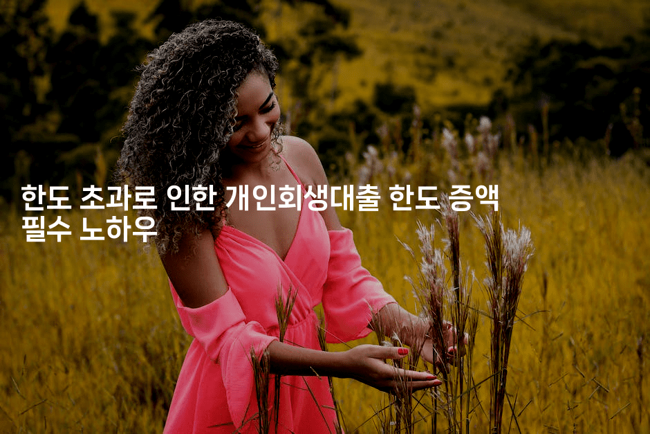 한도 초과로 인한 개인회생대출 한도 증액 필수 노하우-별빛소리