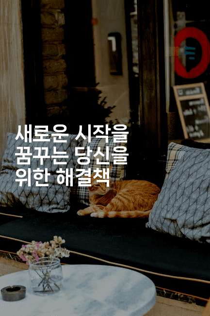 새로운 시작을 꿈꾸는 당신을 위한 해결책