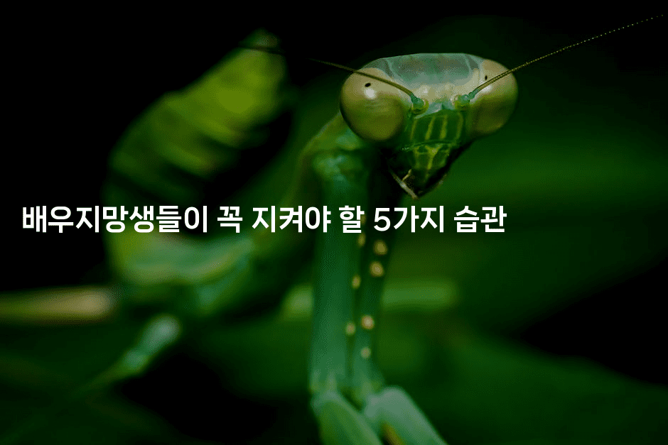 배우지망생들이 꼭 지켜야 할 5가지 습관-별빛소리