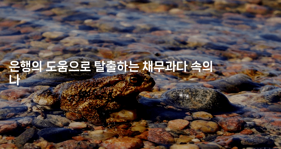 은행의 도움으로 탈출하는 채무과다 속의 나-별빛소리