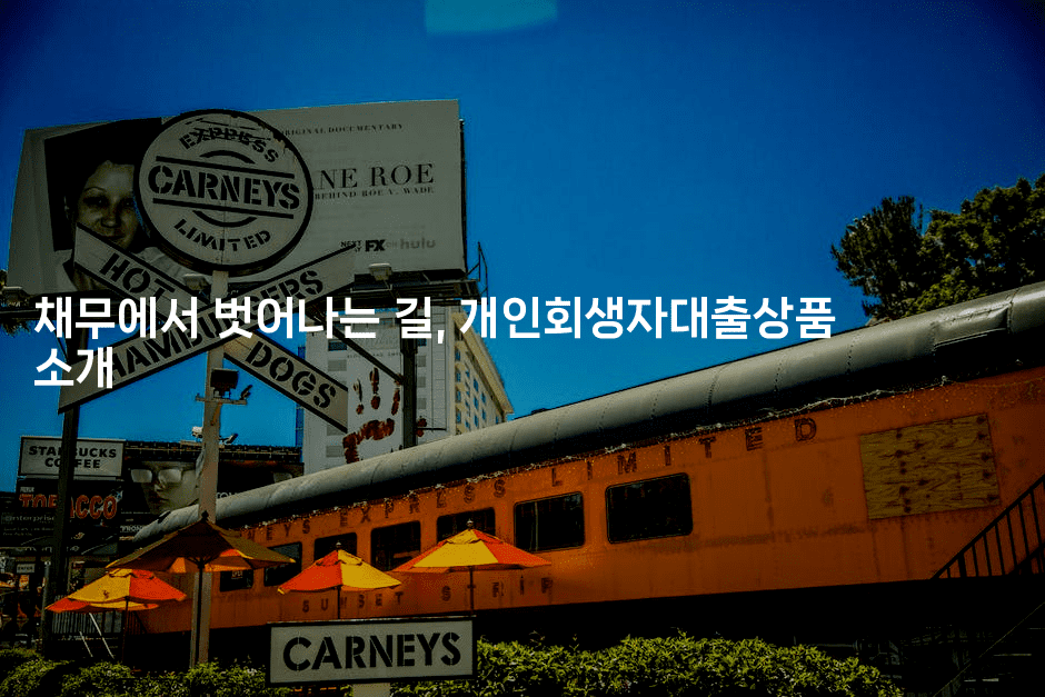 채무에서 벗어나는 길, 개인회생자대출상품 소개-별빛소리