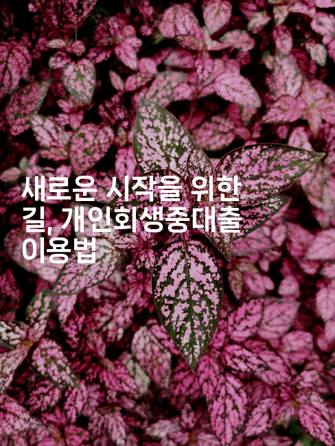 새로운 시작을 위한 길, 개인회생중대출 이용법-별빛소리