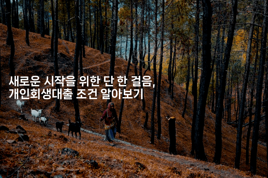 새로운 시작을 위한 단 한 걸음, 개인회생대출 조건 알아보기