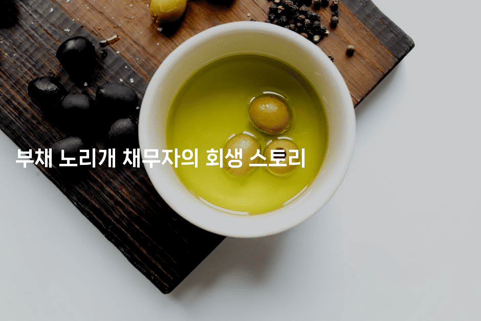 부채 노리개 채무자의 회생 스토리