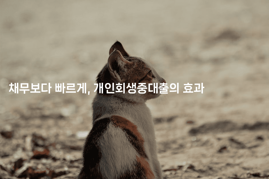 채무보다 빠르게, 개인회생중대출의 효과-별빛소리