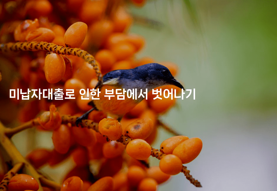 미납자대출로 인한 부담에서 벗어나기-별빛소리