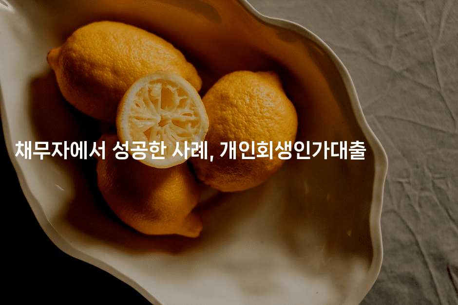 채무자에서 성공한 사례, 개인회생인가대출-별빛소리