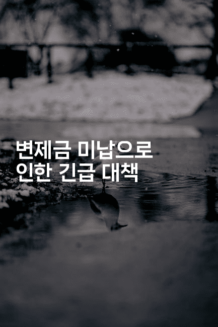 변제금 미납으로 인한 긴급 대책-별빛소리