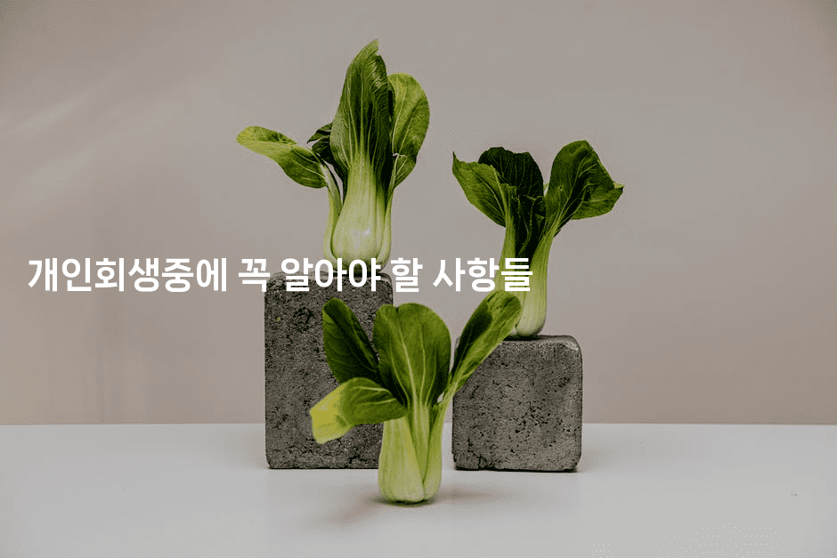 개인회생중에 꼭 알아야 할 사항들-별빛소리