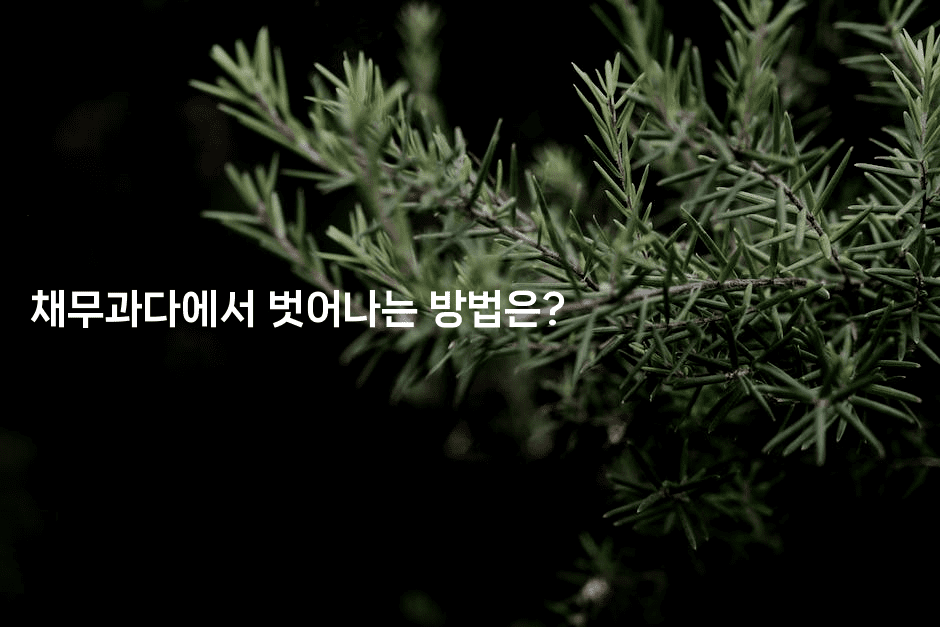 채무과다에서 벗어나는 방법은?-별빛소리