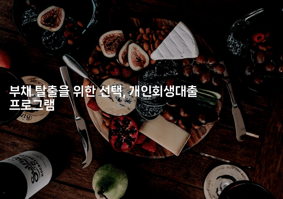 부채 탈출을 위한 선택, 개인회생대출 프로그램-별빛소리