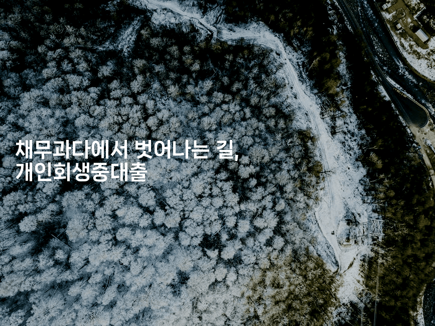 채무과다에서 벗어나는 길, 개인회생중대출-별빛소리