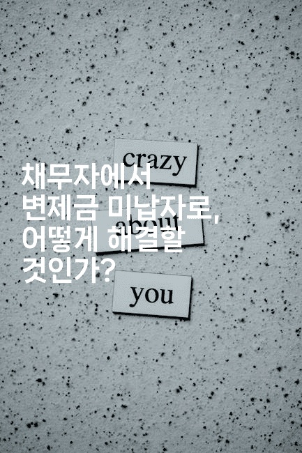 채무자에서 변제금 미납자로, 어떻게 해결할 것인가?-별빛소리