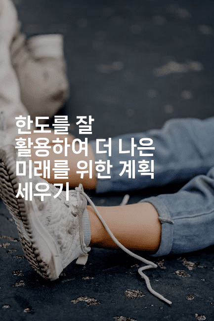 한도를 잘 활용하여 더 나은 미래를 위한 계획 세우기-별빛소리