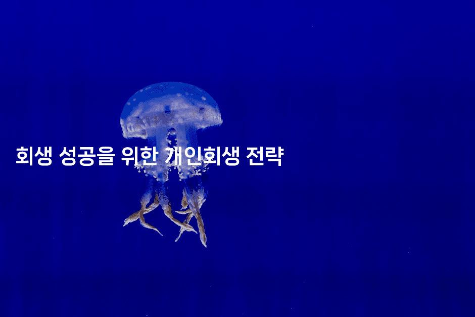 회생 성공을 위한 개인회생 전략-별빛소리